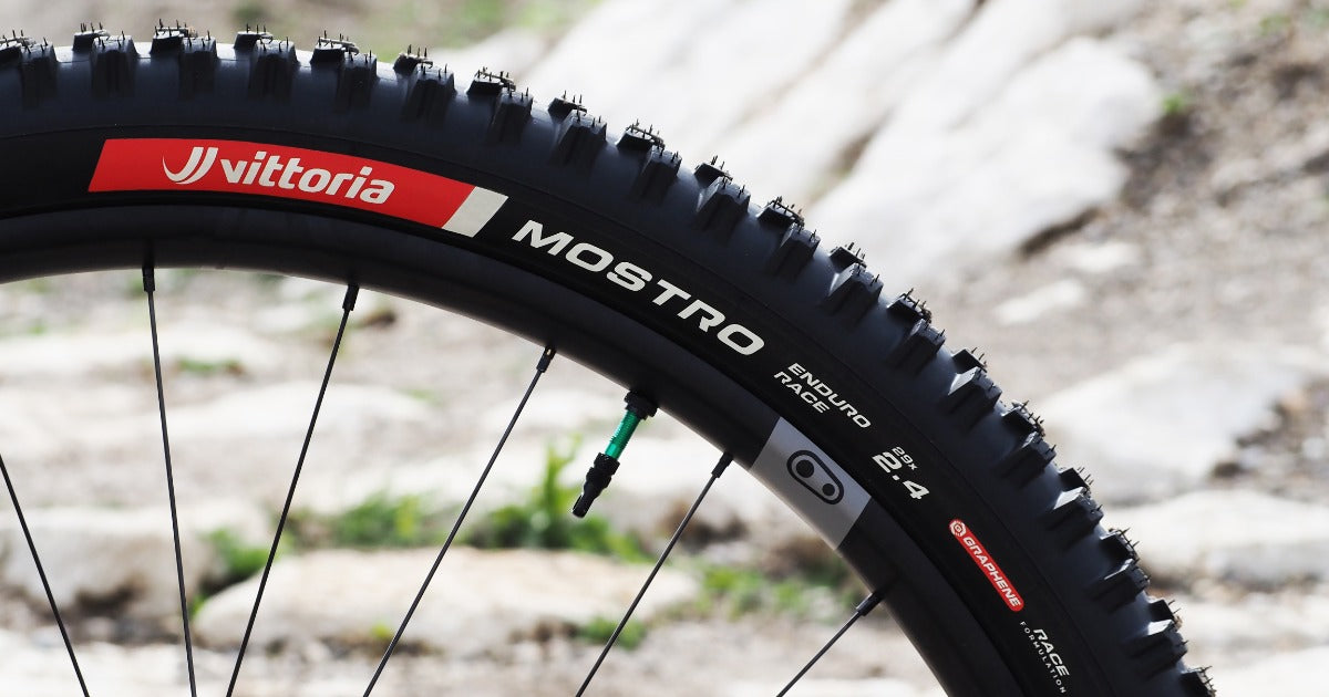 Unleashing Vittoria Mostro: The Ultimate Tire for Gravity Mountain Bikers