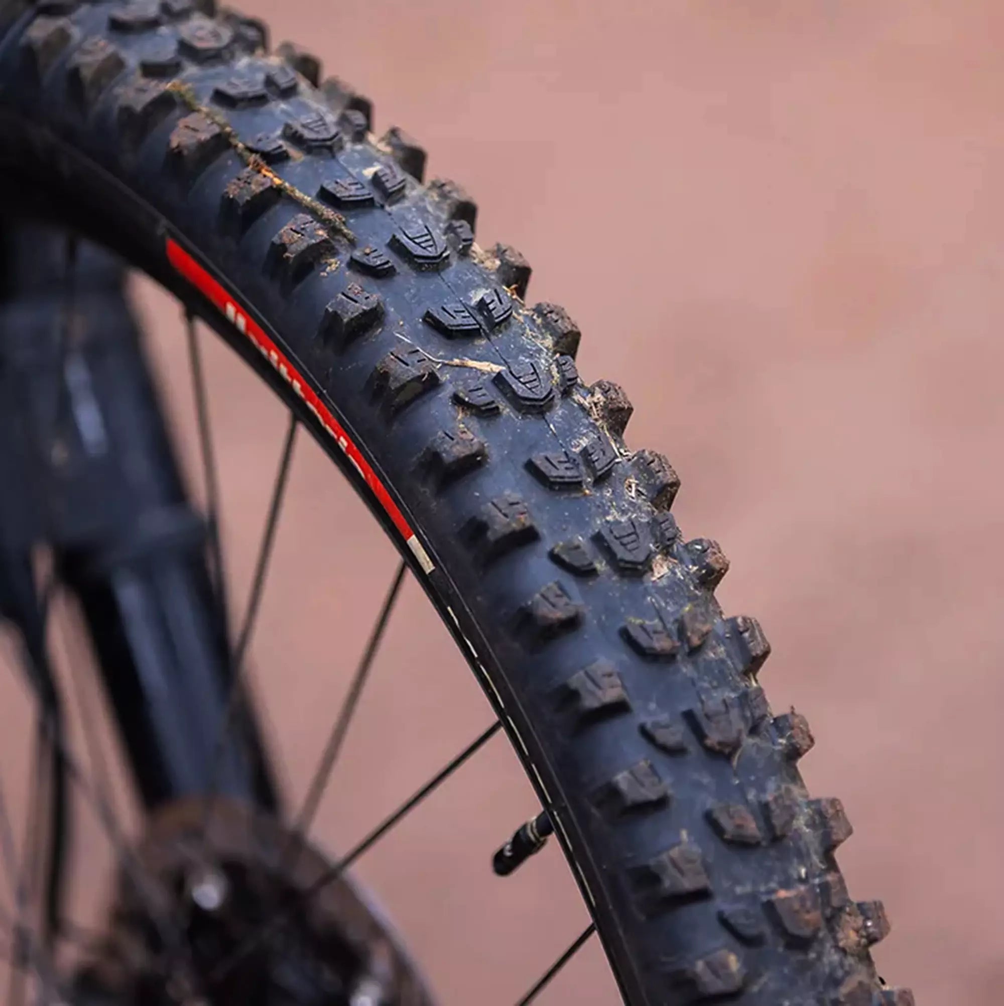 Mostro Enduro Race