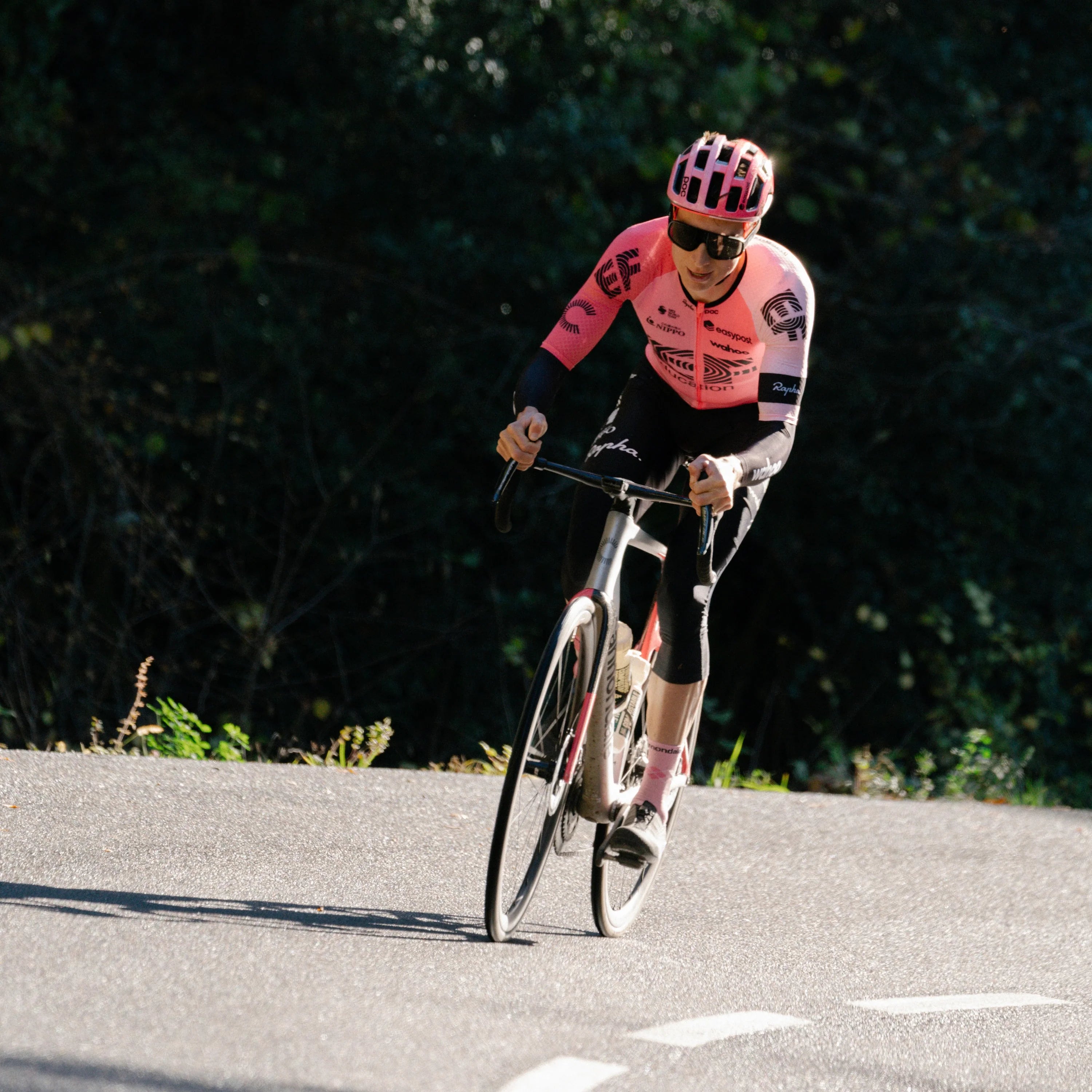 Corsa Speed Tubeless-Ready