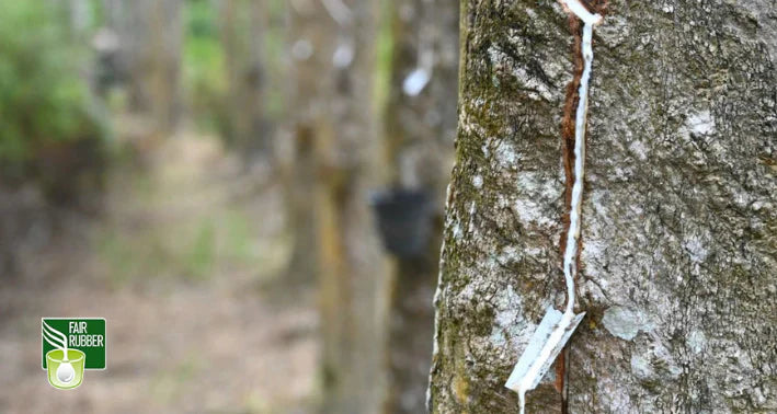 Vittoria Joins Fair Rubber Association to Strengthen Fair Labor Practices among Primary Producers of Rubber