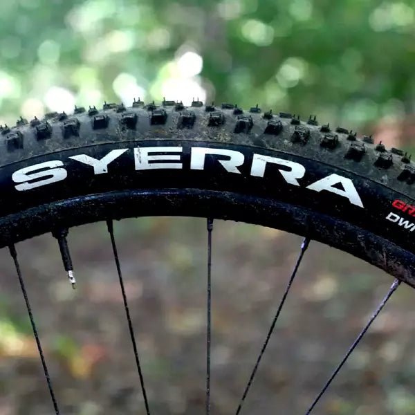 Down Country MTB: Tires for mixed terrain and descent