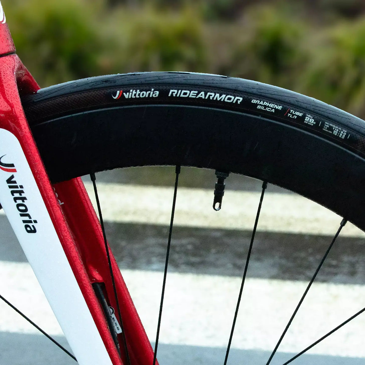 Be ready for anything with RideArmor | Vittoria Be ready for anything with RideArmor | Vittoria