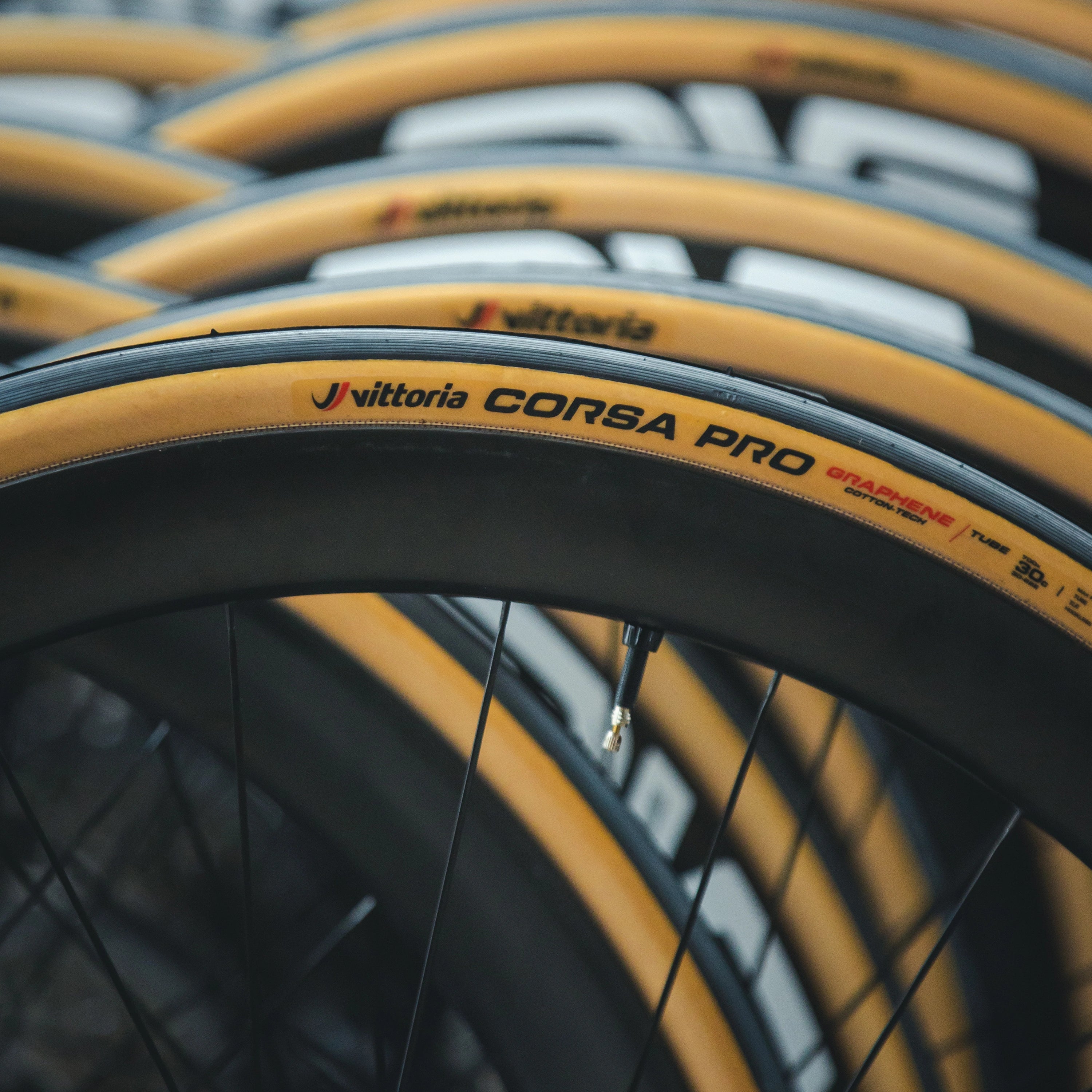 Corsa PRO + Camera d'aria in lattice