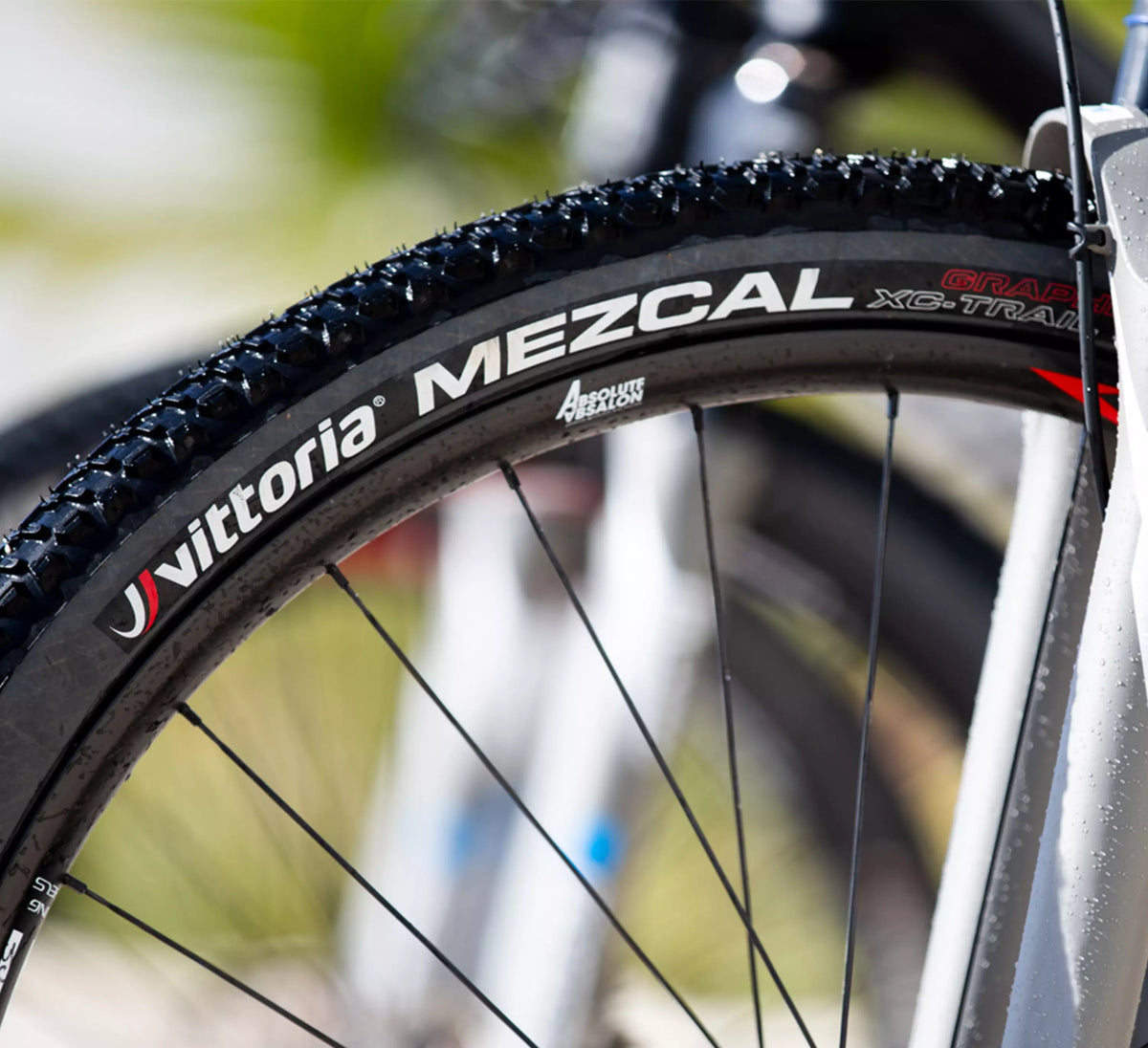 Cross Country tires XC and Down Country MTB tires Vittoria
